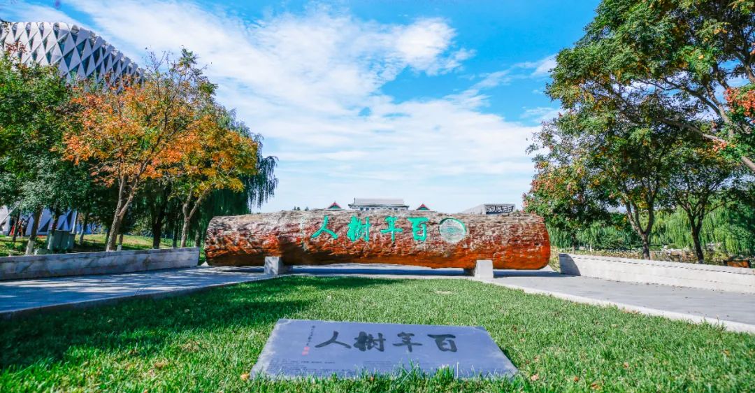 牛牛游戏