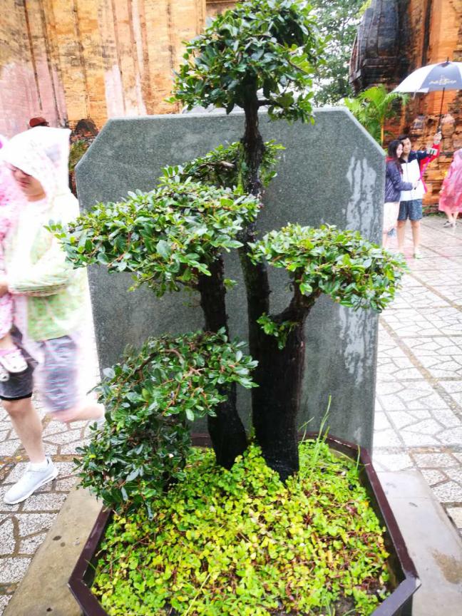 牛牛游戏