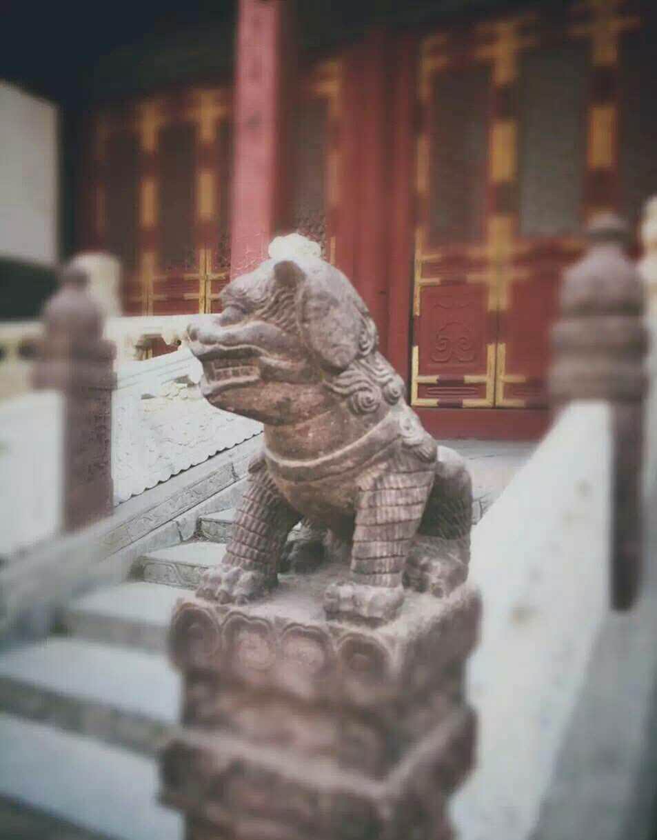 牛牛游戏