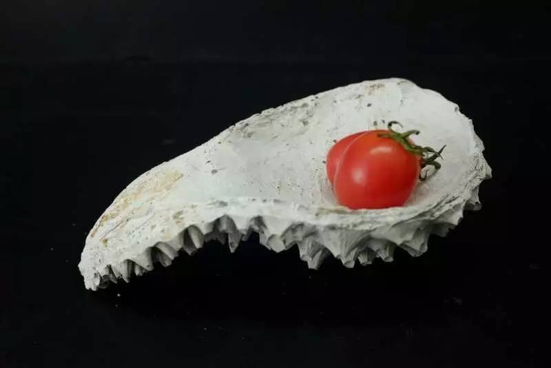 牛牛游戏