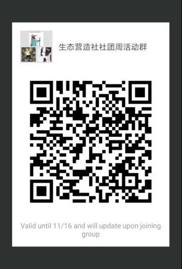 牛牛游戏