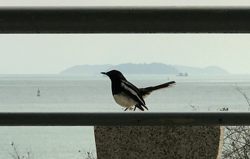 牛牛游戏