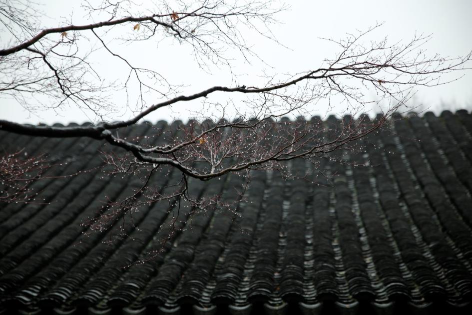 牛牛游戏