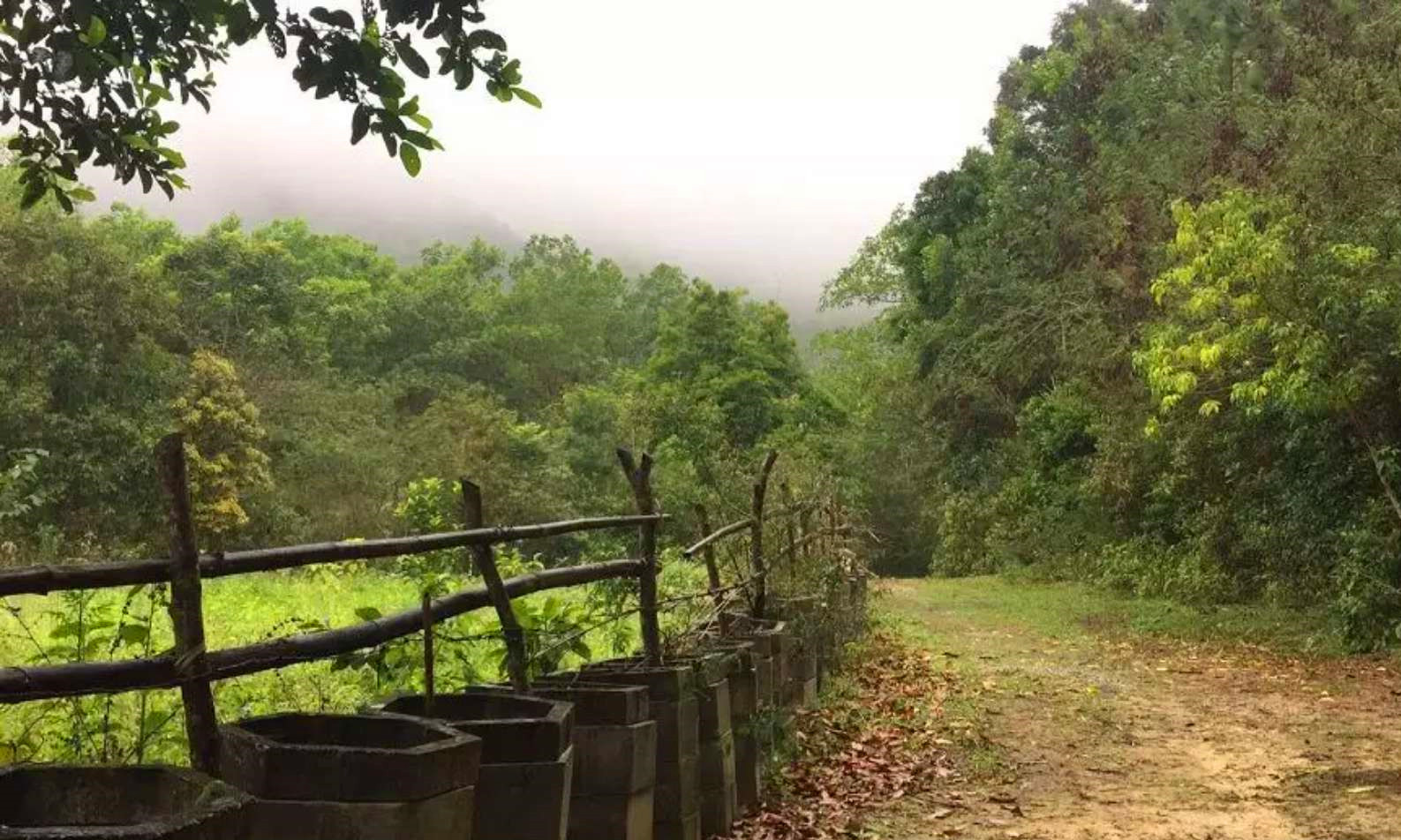 牛牛游戏
