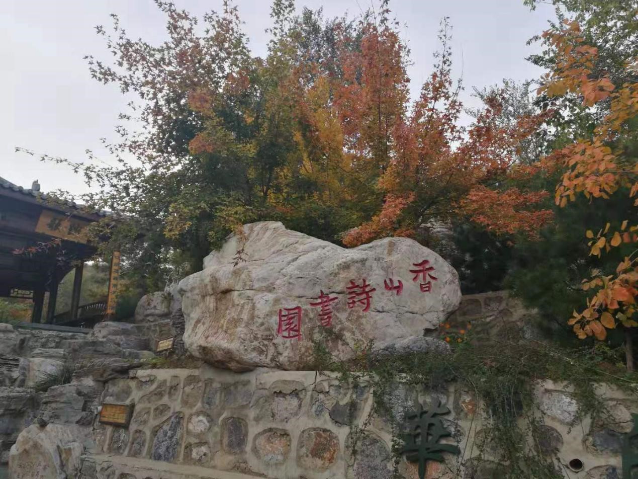 牛牛游戏