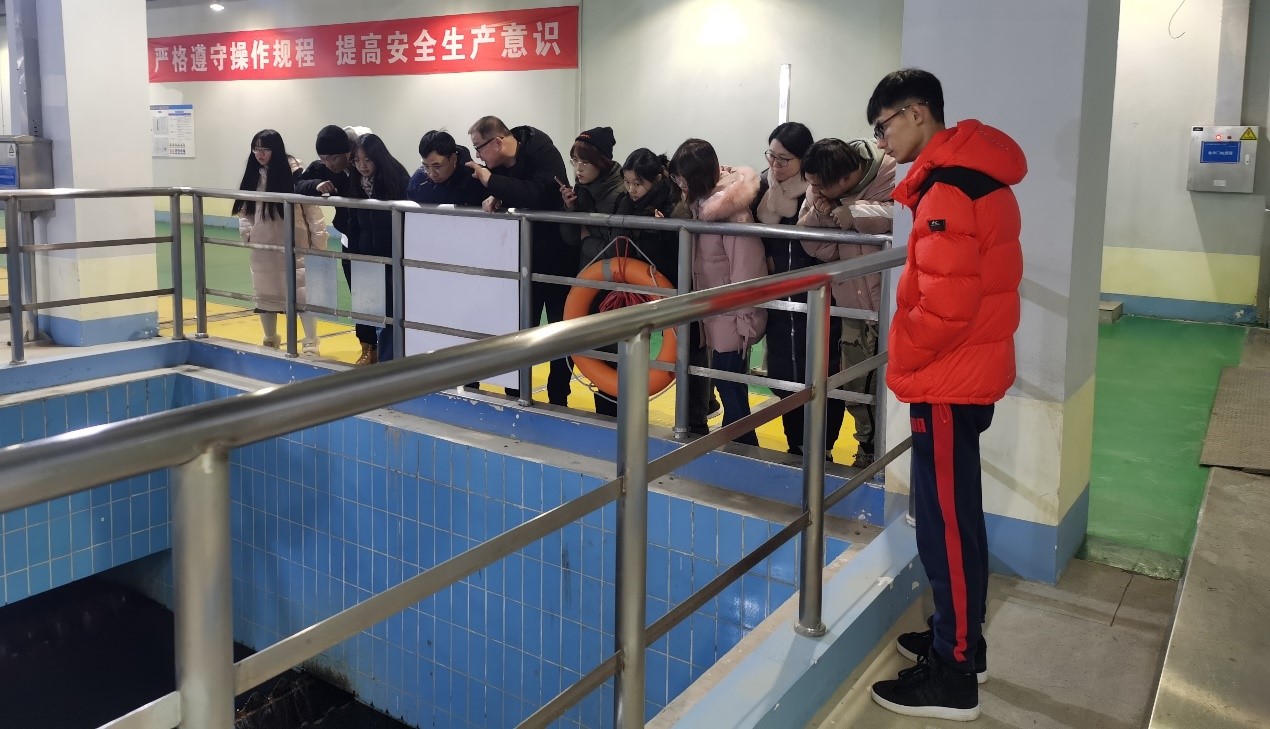 牛牛游戏