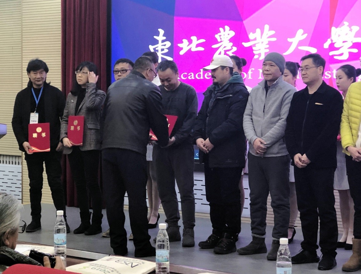 牛牛游戏